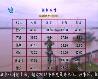 荆州水情 2020-07-11