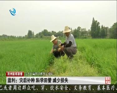 监利：灾后补种 科学田管 减少损失