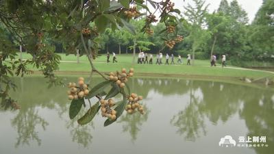 荆州区扎实推进全域旅游 做优做强旅游平台