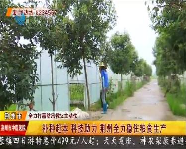 补种赶本 科技助力 荆州全力稳住粮食生产