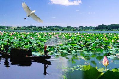 全力保护洪湖“修养生息”，荆州市对症施策力促洪湖生态环境改善