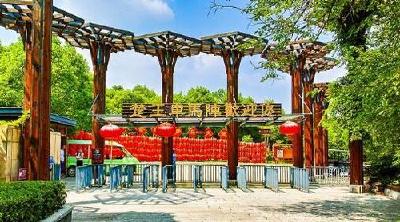 出游更便捷！荆州枢纽站至楚王车马阵景区直达车开通啦