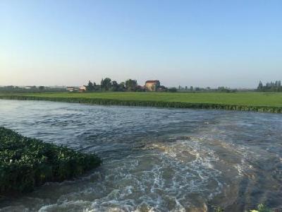 长湖水位降至警戒水位以下 沿湖地区坚持巡堤查险 