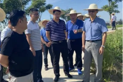 云上沙市区 | 区人大常委会主任周开勤带队视察沙市区沟渠治理专项行动