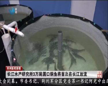 短消息：长江水产研究所3万尾圆口铜鱼将首次在长江放流