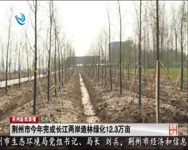 短消息：荆州市今年完成长江两岸造林绿化12.3万亩