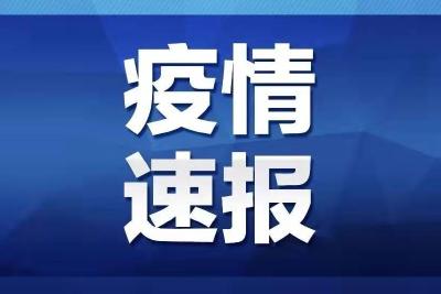 不松懈！新增确诊10例，均为境外输入