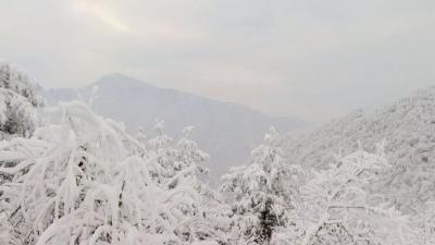 神农架迎入秋以来第一场雪 比去年首场降雪提前两月