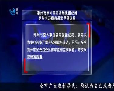 荆州市原外事侨务局党组成员副局长郑继典接受审查调查