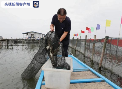 @吃货们，大闸蟹怎么挑？一文告诉你