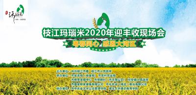 直播| 枝江玛瑙米2020年迎丰收暨粤鄂同心·“感恩大湾区”现场会