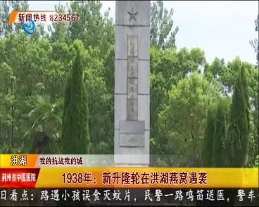 1938年：新升隆轮在洪湖燕窝遇袭