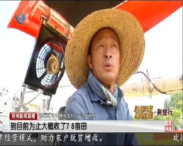 村企合作 战贫有策 致富有“稻”