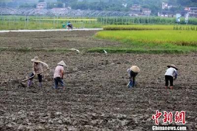 白露节气到！你也 “混搭装”了吗