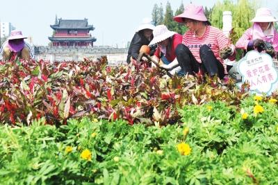 金凤广场花团锦簇迎“两节”