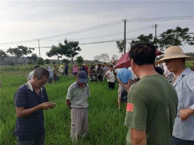 江陵县：就业扶贫托起贫困群众致富梦