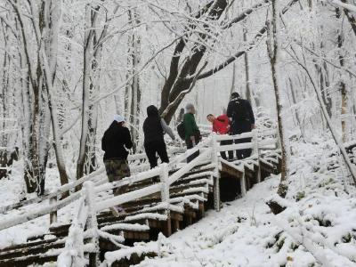 雪҈雪҈​雪҈雪҈雪҈……​第一场雪，来啦！