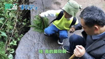 创纪录！“别人家的孩子”发现恐龙足迹，才5岁……