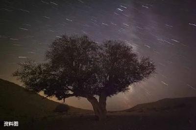 金牛座南流星雨将于10月10日迎来极大