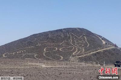 秘鲁纳斯卡线再现地画！科学家发现2000多岁“古猫”