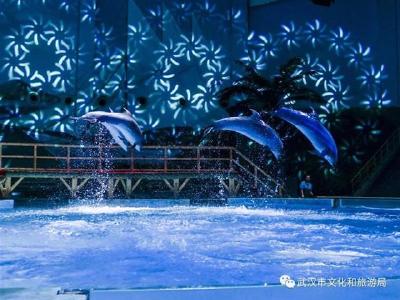 惠游湖北 30家重点景区首日接待游客21.98万人次