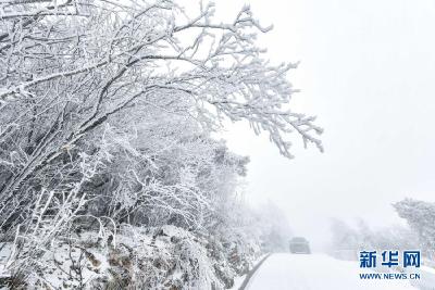 美不胜收！湖北保康一景区雪后出现雾凇景观