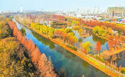 水清岸绿河畅景美！生态魅力刷新荆州城市颜值