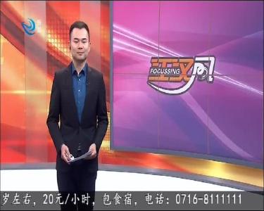 路边捡到一匹马 好心市民急寻马主人