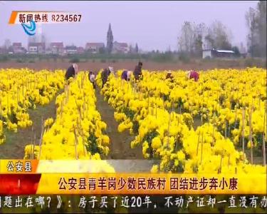 公安县青羊岗少数民族村 团结进步奔小康