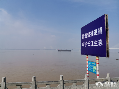 提前半年落实“禁捕令”  荆州筑牢长江生态屏障