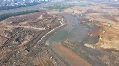 荆州一地正在打造“水下森林”网红打卡地！