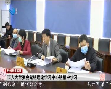 市人大常委会党组理论学习中心组集中学习