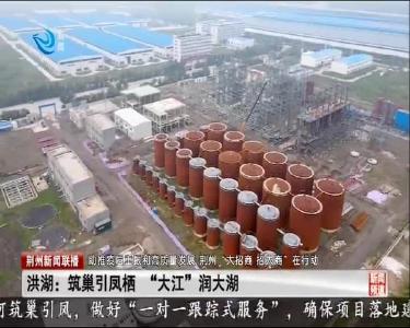 洪湖: 筑巢引凤栖 “大江” 润大湖