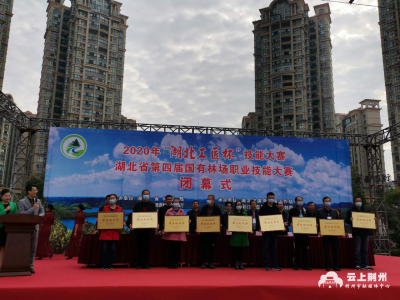 湖北第四届国有林场职业技能大赛 荆州荣获两奖项