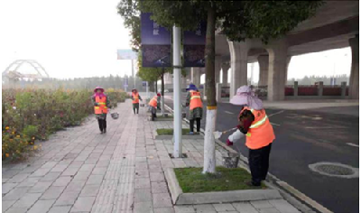 荆州高新区：6.3万余株树木涂白 防冻防虫增颜值