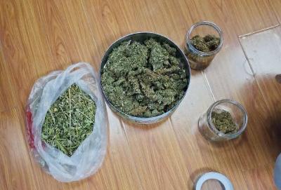 公安县警方破获首例非法种植大麻案