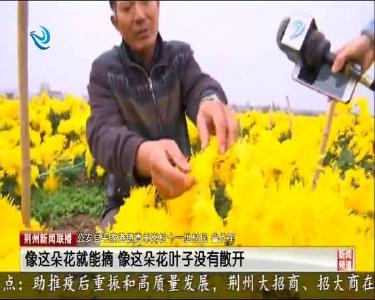 公安县青羊岗少数民族村 团结进步奔小康