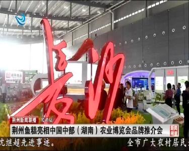 短消息：荆州鱼糕亮相中国中部（湖南）农业博览会品牌推介会