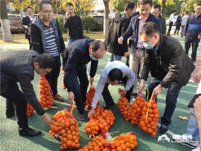 消费扶贫 “橘”手之劳公益行动 | 市直机关单位和社会各界“抢购”滞销柑橘 助力果农脱困