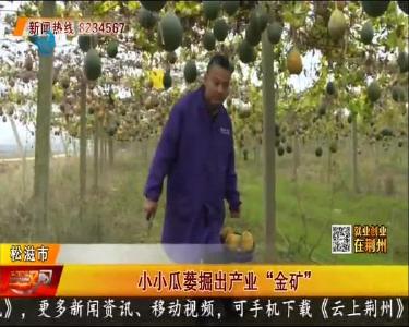 小小瓜蒌掘出产业“金矿”