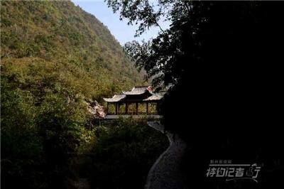 特约记者行：“荆州屋脊”上的风景线