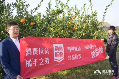 “扶贫助农 ‘橘’手之劳”公益活动《荆州味道》销售柑橘68.9万斤
