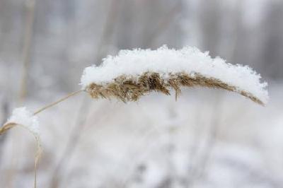 注意：寒风起，初雪至 荆州今明两天最低气温0℃