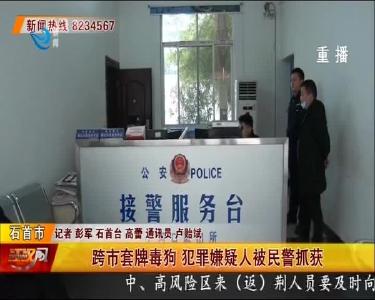 跨市套牌毒狗 犯罪嫌疑人被民警抓获