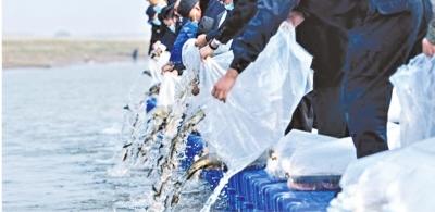 长江“十年禁渔”武汉实施半年成效显著 查获非法捕捞案70余起 市场禁用渔具绝迹