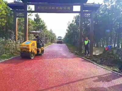 荆州区首条彩色沥青路完工 与粉黛园网红草相映成辉