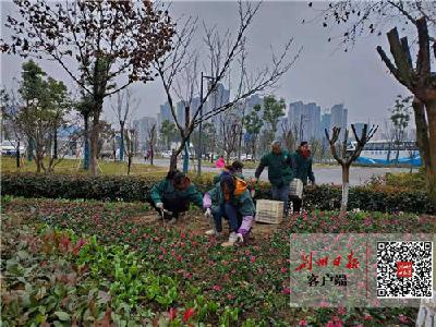 荆州15万盆鲜花盛装迎“双节”