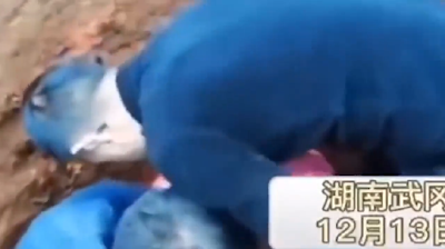 患癌老人挖坑等死：不想连累子女