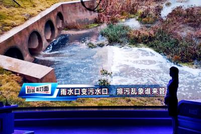 武汉电视问政曝光湖泊污染治理不力问题 小作坊的污水混着雨水直排入湖