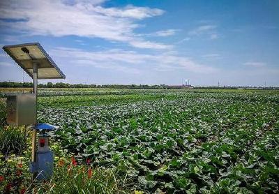 荆州农业产业化国家重点龙头企业达7家 分别是…